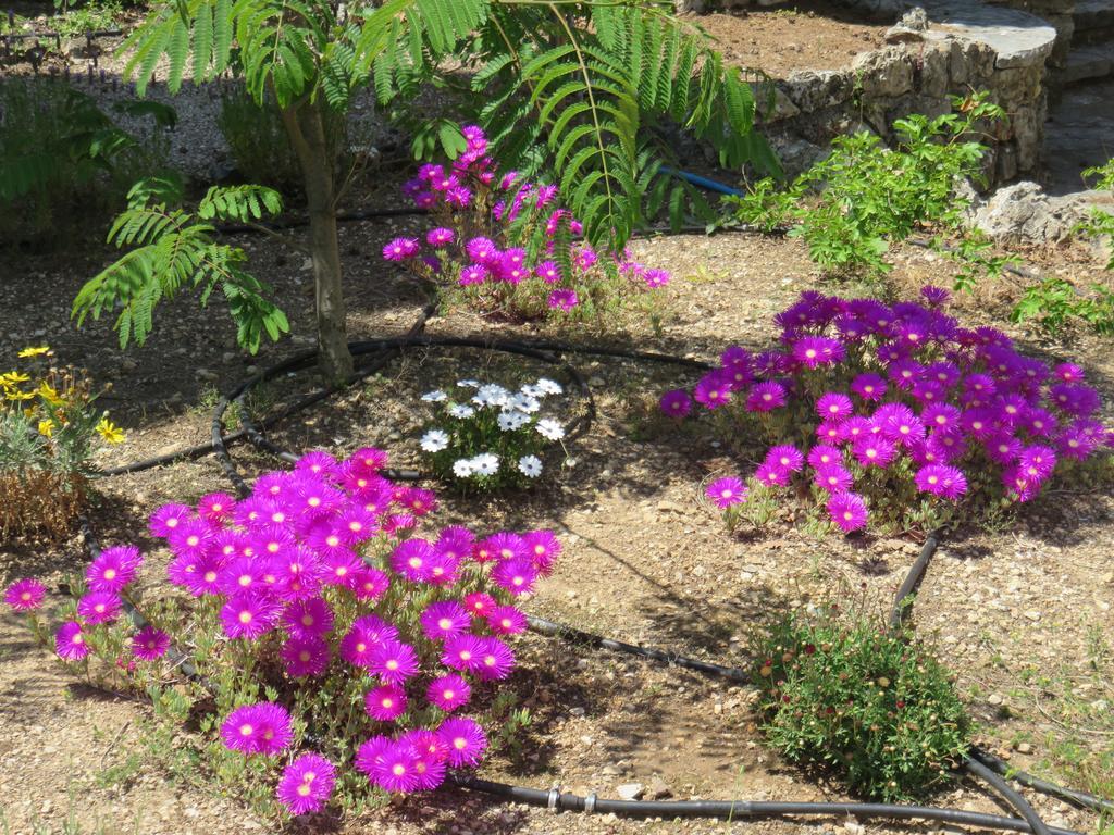 Le Clos Des Canebiers Bed and Breakfast Grasse Esterno foto